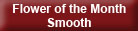 Flower of the Month 1930